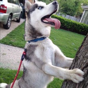 Meet your Posher, Nadia